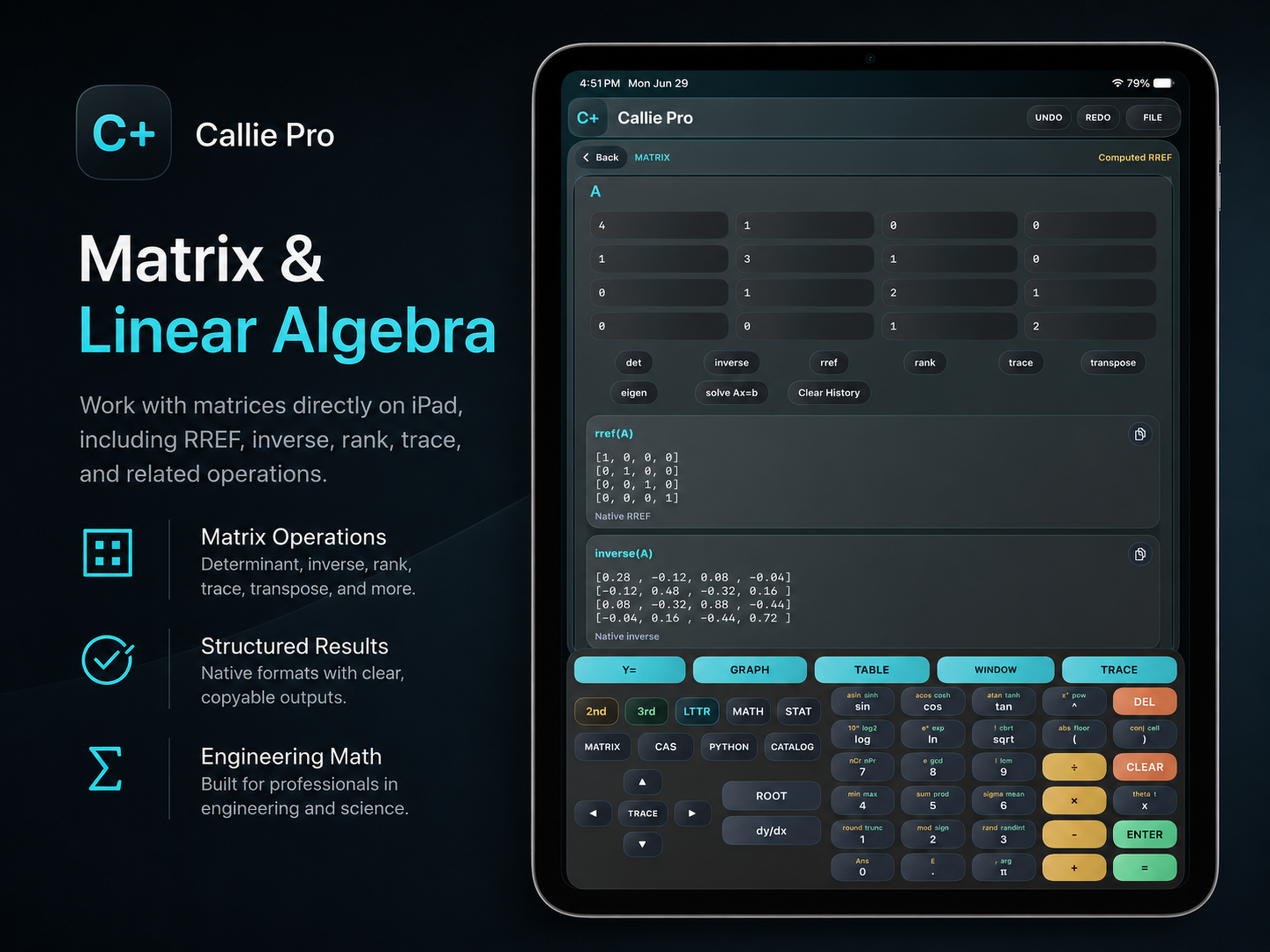 Callie Pro Matrix workspace with eigen and solve results